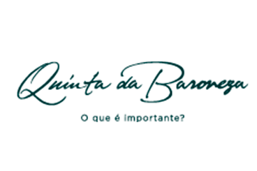 partner-image